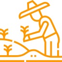 Farmer welfare program supporting sustainable farming and agricultural awareness